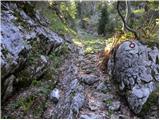 Bitenjska planina - Krekova koča na Ratitovcu